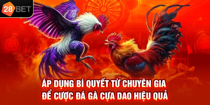 Áp dụng bí quyết từ chuyên gia để cược đá gà cựa dao hiệu quả