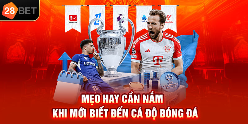 Mẹo hay cần nắm khi mới biết đến cá độ bóng đá