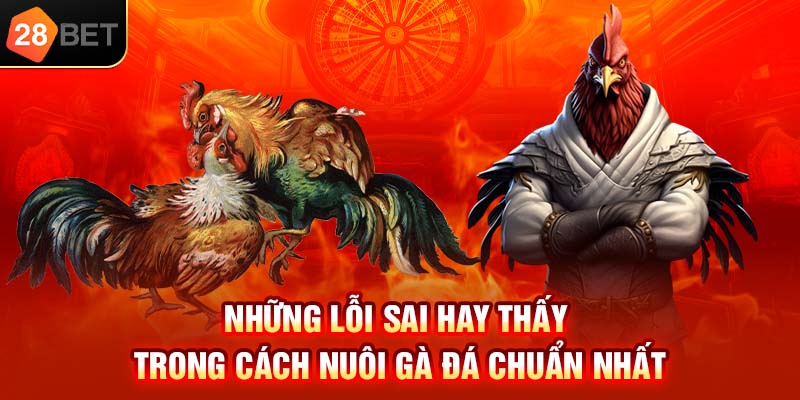 Những lỗi sai hay thấy trong cách nuôi gà đá chuẩn nhất